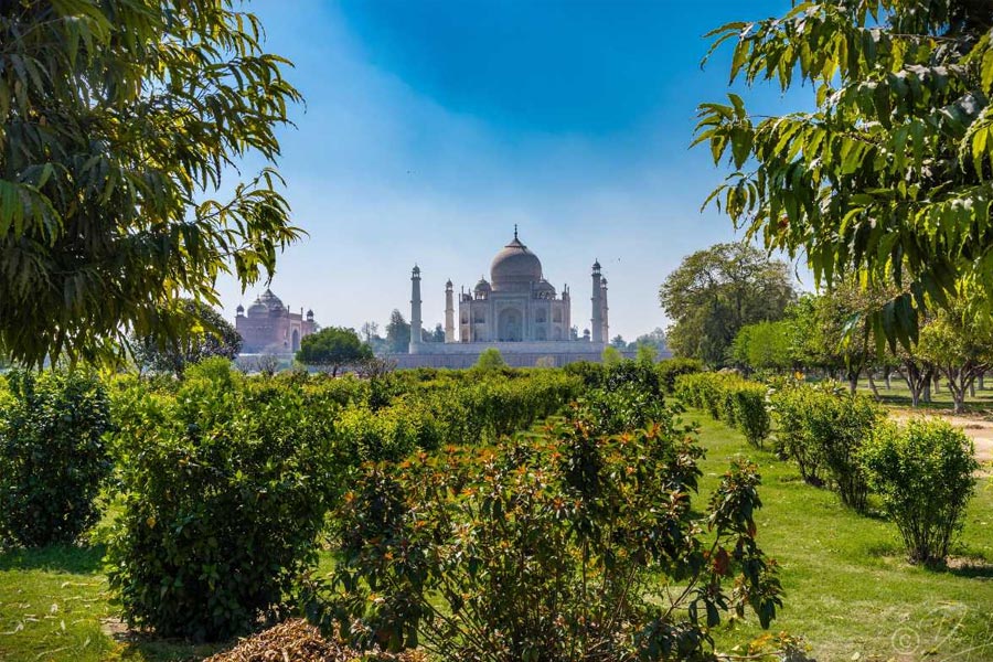 Mehtab Bagh Tour